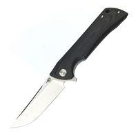 Bestech Paladin Folding Knife | D2 Steel, G10 Handle, Satin Finish, BG13A1